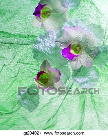 flower, leaf, leaves, Korean paper, paper, fancy goods, goods View Large Photo Image Stock Photo - flower, leaf, leaves, Korean paper, paper, fancy goods, goods. Fotosearch