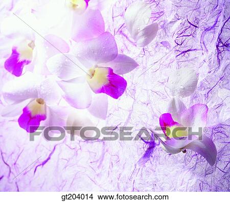 flower, leaf, leaves, paper, fancy goods, goods, fancy View Large Photo Image Picture - flower, leaf, leaves, paper, fancy goods, goods, fancy. Fotosearch