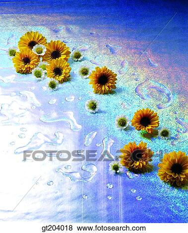 Stock Photo - flower, leaf, leaves, water, fancy goods, goods, fancy. Fotosearch