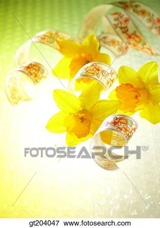flower, ribbon, paper, fancy goods, goods, fancy, decoration View Large Photo Image Stock Photo - flower, ribbon, paper, fancy goods, goods, fancy, decoration. Fotosearch