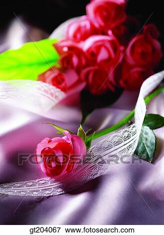 flower, ribbon, rose, cloths, cloth, fabric, fancy goods View Large Photo Image Stock Photo - flower, ribbon, rose, cloths, cloth, fabric, fancy goods. Fotosearch