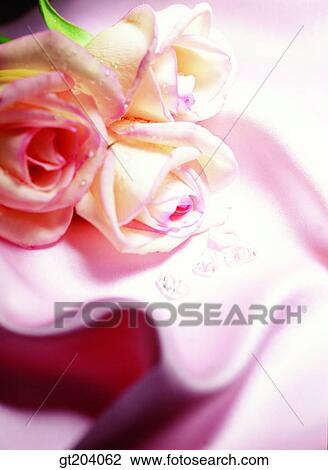 flower, rose, bead, cloths, cloth, fabric, fancy goods View Large Photo Image Stock Image - flower, rose, bead, cloths, cloth, fabric, fancy goods. Fotosearch