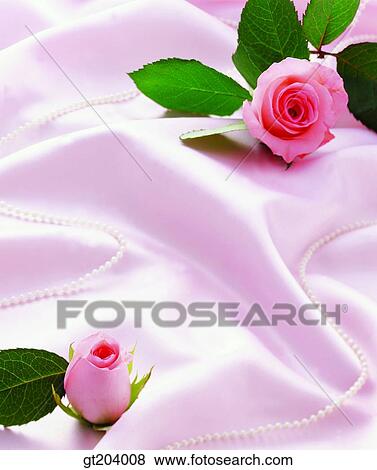 flower, rose, bead, pearl, pearl necklace, accessories, accessaries View Large Photo Image Stock Photo - flower, rose, bead, pearl, pearl necklace, accessories, accessaries. Fotosearch