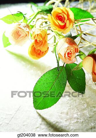 flower, rose, cutting flower, fancy goods, goods, fancy, decoration View Large Photo Image Stock Photo - flower, rose, cutting flower, fancy goods, goods, fancy, decoration. Fotosearch