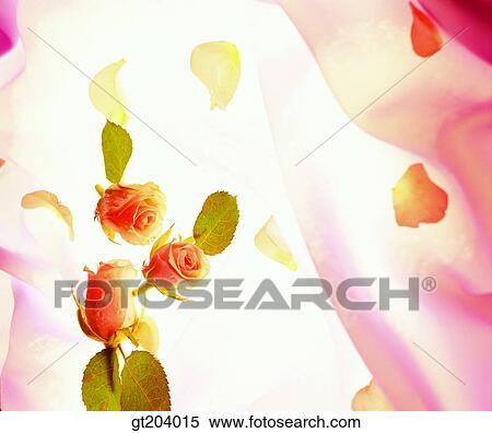 flower, rose, light, cloths, cloth, fabric, fancy goods View Large Photo Image Stock Photography - flower, rose, light, cloths, cloth, fabric, fancy goods. Fotosearch