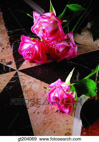 flower, rose, marble, fancy goods, goods, fancy, decoration View Large Photo Image Stock Photo - flower, rose, marble, fancy goods, goods, fancy, decoration. Fotosearch