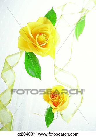 flower, rose, ribbon, leaf, leaves, fancy goods, goods View Large Photo Image Stock Photo - flower, rose, ribbon, leaf, leaves, fancy goods, goods. Fotosearch