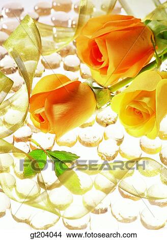 flower, rose, ribbon, paper, fancy goods, goods, fancy View Large Photo Image Picture - flower, rose, ribbon, paper, fancy goods, goods, fancy. Fotosearch