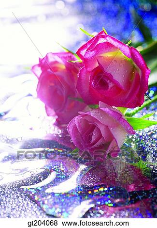 flower, rose, waterdrop, fancy goods, goods, fancy, decoration View Large Photo Image Stock Photo - flower, rose, waterdrop, fancy goods, goods, fancy, decoration. Fotosearch