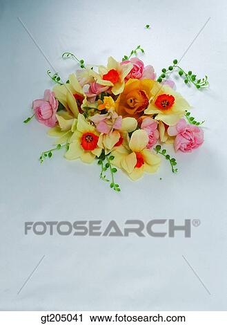 flower, still life, bouquet, fancy goods, goods, fancy, decoration View Large Photo Image Stock Image - flower, still life, bouquet, fancy goods, goods, fancy, decoration. Fotosearch