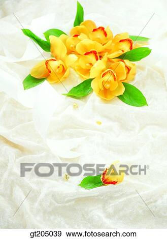 flower, still life, bouquet, fancy goods, goods, fancy, decoration View Large Photo Image Stock Photo - flower, still life, bouquet, fancy goods, goods, fancy, decoration. Fotosearch