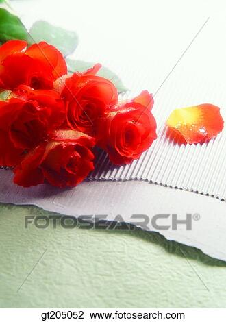 flower, still life, bouquet, rose, fancy goods, goods, fancy View Large Photo Image Stock Image - flower, still life, bouquet, rose, fancy goods, goods, fancy. Fotosearch