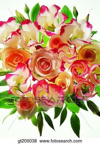 flower, still life, bouquet, rose, fancy goods, goods, fancy View Large Photo Image Stock Photo - flower, still life, bouquet, rose, fancy goods, goods, fancy. Fotosearch