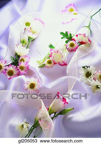 flower, still life, fancy goods, goods, fancy, decoration, ornament View Large Photo Image Stock Image - flower, still life, fancy goods, goods, fancy, decoration, ornament. Fotosearch