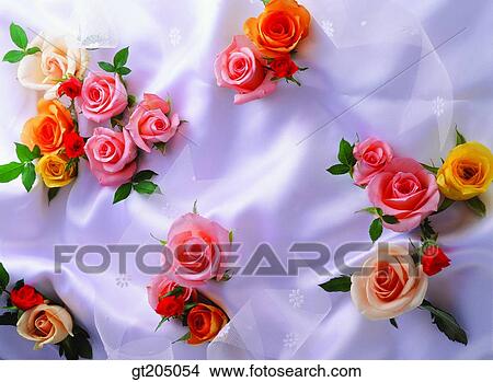 flower, still life, rose, fancy goods, goods, fancy, decoration View Large Photo Image Picture - flower, still life, rose, fancy goods, goods, fancy, decoration. Fotosearch