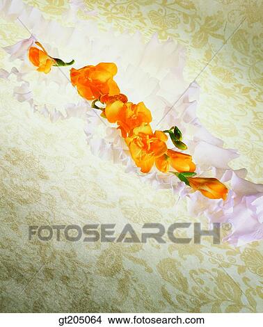 Picture - flower, still life, scene, scenery, background, fancy goods, goods. Fotosearch