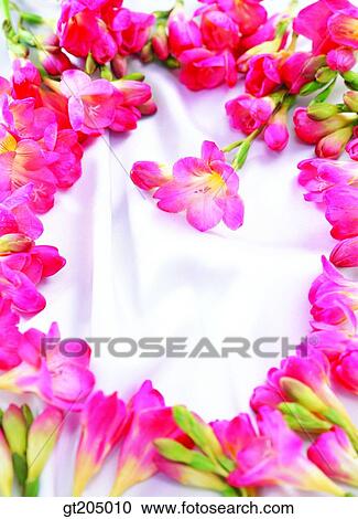 flower, still life, scene, scenery, background, fancy goods, goods View Large Photo Image Stock Image - flower, still life, scene, scenery, background, fancy goods, goods. Fotosearch