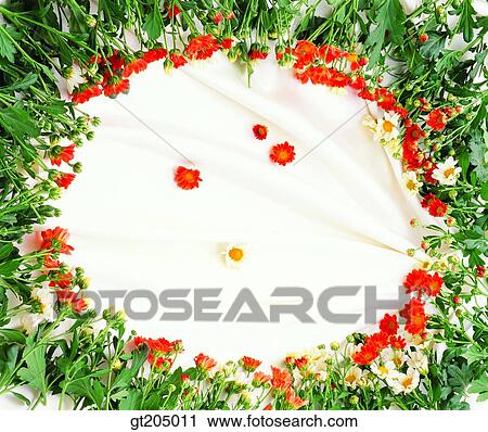 Stock Image - flower, still life, scene, scenery, background, fancy goods, goods. Fotosearch