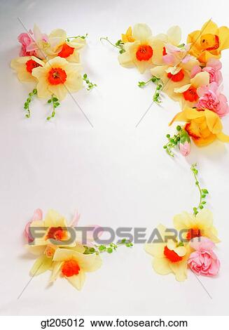 flower, still life, scene, scenery, background, fancy goods, goods View Large Photo Image Stock Image - flower, still life, scene, scenery, background, fancy goods, goods. Fotosearch