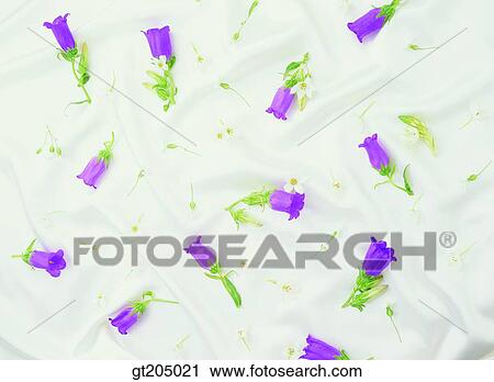 flower, still life, scene, scenery, background, fancy goods, goods View Large Photo Image Stock Image - flower, still life, scene, scenery, background, fancy goods, goods. Fotosearch