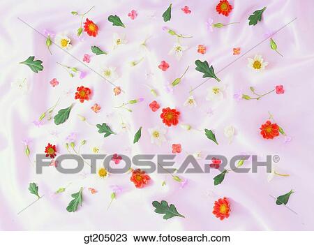 flower, still life, scene, scenery, background, fancy goods, goods View Large Photo Image Stock Image - flower, still life, scene, scenery, background, fancy goods, goods. Fotosearch