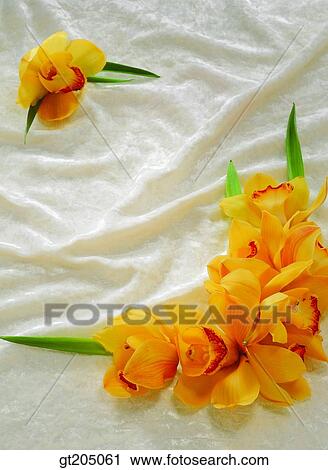 flower, still life, scene, scenery, background, bouquet, fancy goods View Large Photo Image Stock Image - flower, still life, scene, scenery, background, bouquet, fancy goods. Fotosearch