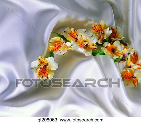 flower, still life, scene, scenery, background, fancy goods, goods View Large Photo Image Stock Image - flower, still life, scene, scenery, background, fancy goods, goods. Fotosearch