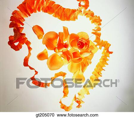 Stock Image - flower, still life, scene, scenery, background, fancy goods, goods. Fotosearch