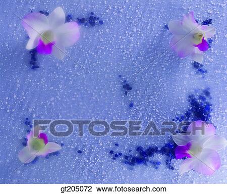 flower, still life, scene, scenery, background, fancy goods, goods View Large Photo Image Stock Image - flower, still life, scene, scenery, background, fancy goods, goods. Fotosearch