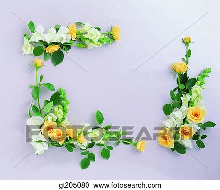 flower, still life, scene, scenery, background, fancy goods, goods View Large Photo Image Stock Image - flower, still life, scene, scenery, background, fancy goods, goods. Fotosearch