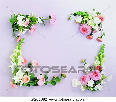 flower, still life, scene, scenery, background, fancy goods, goods View Large Photo Image Stock Image - flower, still life, scene, scenery, background, fancy goods, goods. Fotosearch