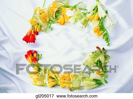 flower, still life, scene, scenery, background, fancy goods, goods View Large Photo Image Stock Photo - flower, still life, scene, scenery, background, fancy goods, goods. Fotosearch