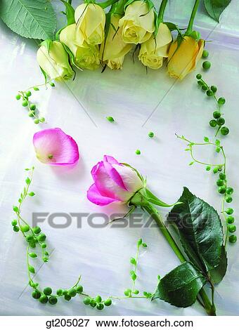 flower, still life, scene, scenery, background, rose, fancy goods View Large Photo Image Stock Photo - flower, still life, scene, scenery, background, rose, fancy goods. Fotosearch