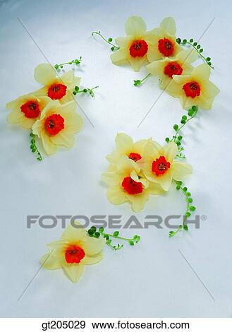 flower, still life, scene, scenery, background, fancy goods, goods View Large Photo Image Stock Photo - flower, still life, scene, scenery, background, fancy goods, goods. Fotosearch