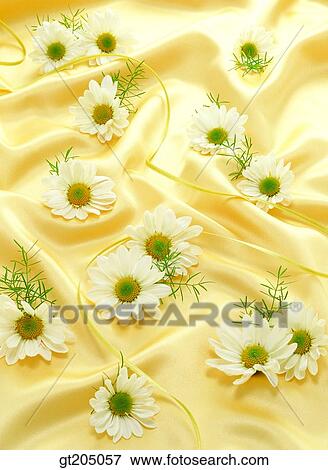 flower, still life, scene, scenery, background, fancy goods, goods View Large Photo Image Stock Photo - flower, still life, scene, scenery, background, fancy goods, goods. Fotosearch