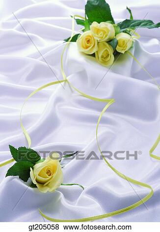 flower, still life, scene, scenery, background, rose, fancy goods View Large Photo Image Stock Photo - flower, still life, scene, scenery, background, rose, fancy goods. Fotosearch