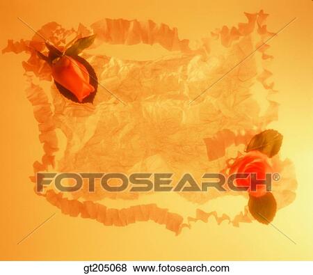 flower, still life, scene, scenery, background, fancy goods, goods View Large Photo Image Stock Photo - flower, still life, scene, scenery, background, fancy goods, goods. Fotosearch