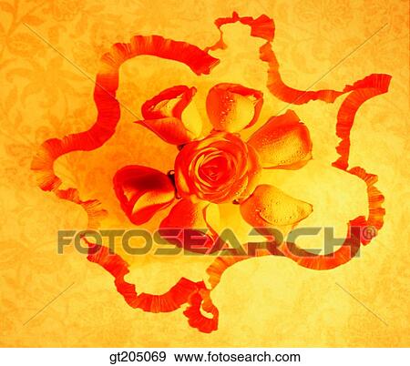 flower, still life, scene, scenery, background, fancy goods, goods View Large Photo Image Stock Photo - flower, still life, scene, scenery, background, fancy goods, goods. Fotosearch
