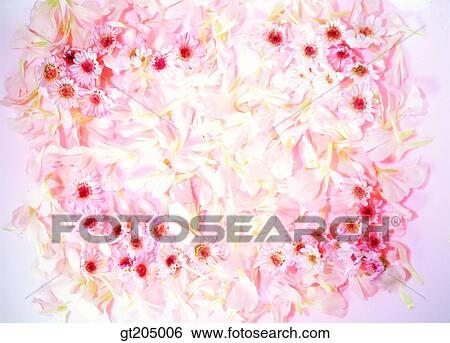 Stock Photograph - flower, still life, scene, scenery, background, fancy goods, goods. Fotosearch