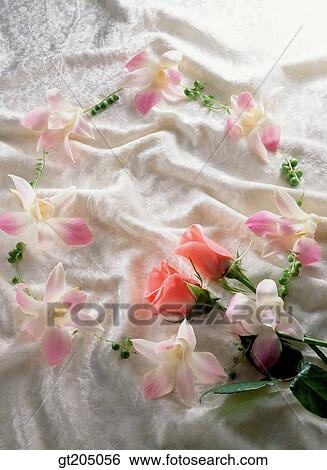 Stock Photograph - flower, still life, scene, scenery, background, fancy goods, goods. Fotosearch