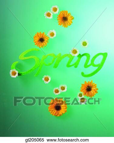 Stock Photography - flower, still life, scene, scenery, background, spring, fancy goods. Fotosearch
