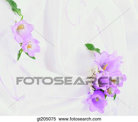 Stock Photography - flower, still life, scene, scenery, background, bouquet, fancy goods. Fotosearch