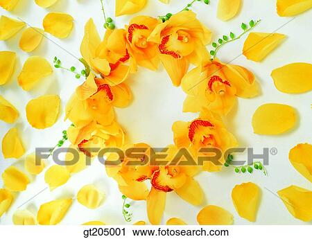 leaf, leaves, scene, scenery, background, bouquet, fancy goods View Large Photo Image Stock Image - leaf, leaves, scene, scenery, background, bouquet, fancy goods. Fotosearch