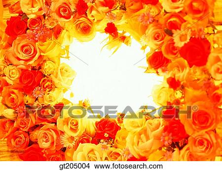 rose, scene, scenery, background, still picture, still image, fancy goods View Large Photo Image Picture - rose, scene, scenery, background, still picture, still image, fancy goods. Fotosearch