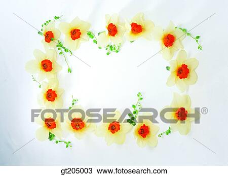 scene, scenery, background, still picture, still image, still life, bouquet View Large Photo Image Stock Image - scene, scenery, background, still picture, still image, still life, bouquet. Fotosearch