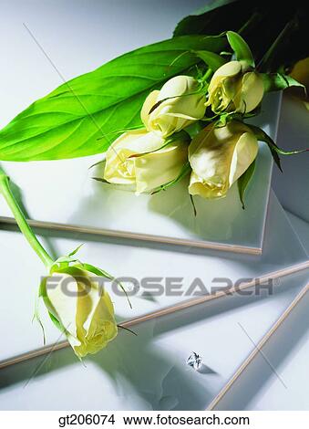 flower, bead, rose, bouquet, white rose, cloths, cloth View Large Photo Image Picture - flower, bead, rose, bouquet, white rose, cloths, cloth. Fotosearch
