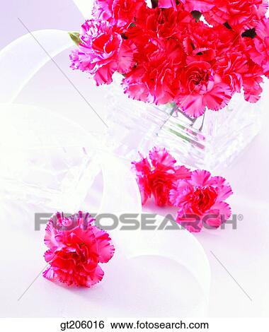 flower, carnation, Carnation, ribbon, glassware, glass bottle, fancy goods View Large Photo Image Stock Photograph - flower, carnation, Carnation, ribbon, glassware, glass bottle, fancy goods. Fotosearch