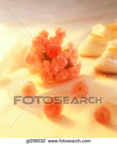 flower, cloths, cloth, fabric, fancy goods, goods, fancy View Large Photo Image Stock Image - flower, cloths, cloth, fabric, fancy goods, goods, fancy. Fotosearch