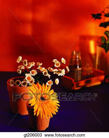 flower, cutting flower, still life, flowerpot, fancy goods, goods, fancy View Large Photo Image Stock Image - flower, cutting flower, still life, flowerpot, fancy goods, goods, fancy. Fotosearch