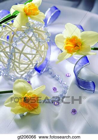 Stock Photograph - flower, daffodil, narcissus, bead, ribbon, cloths, cloth. Fotosearch